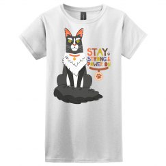 Black and white Maine Coon