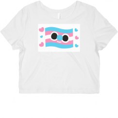 Ladies Slim Fit Crop Top Tee