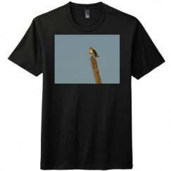 Unisex Perfect Tri Tee