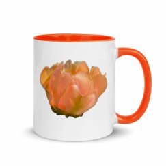 11oz Ceramic Mug with Color Inside