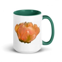15oz Ceramic Mug with Color Inside