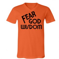 Unisex V-Neck Jersey Tee