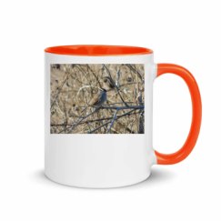 11oz Ceramic Mug with Color Inside