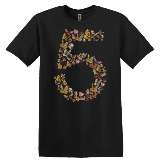 5th Birthday Butterflies Cute 5th Birthday Butterflies 