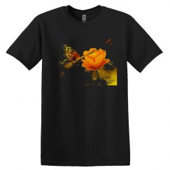 Butterfly Butterflies and a Flower