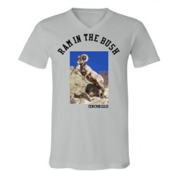 Unisex V-Neck Jersey Tee