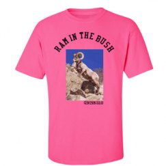 Unisex Ultra Cotton Safety Neon Crewneck Tee