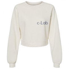 Women's Raglan Pullover Fleece