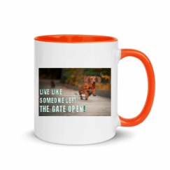 11oz Ceramic Mug with Color Inside
