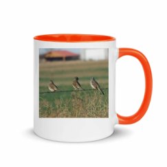 11oz Ceramic Mug with Color Inside