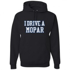 Unisex Basic Promo Hoodie