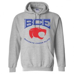 Unisex Basic Promo Hoodie