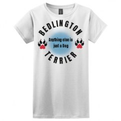 Ladies Basic Softstyle Tee