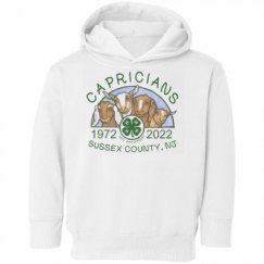 Toddler Hooded Sweatshirt