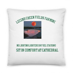 All Over Print 22 Inch Pillow