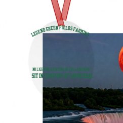 Metal Oval Christmas Ornament