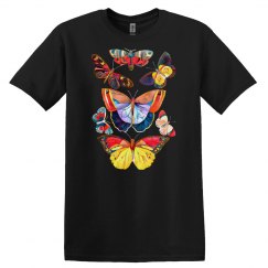 Butterflies Butterflies