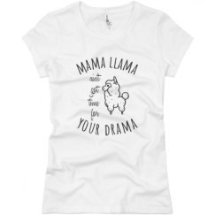 Ladies Slim Fit Basic Promo Jersey Tee