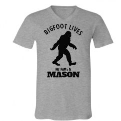 Unisex V-Neck Jersey Tee