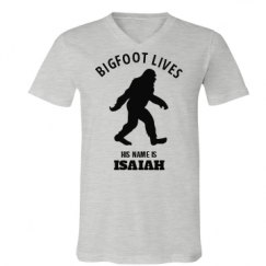 Unisex V-Neck Jersey Tee