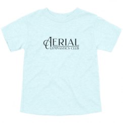 Toddler Triblend Tee