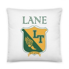 All Over Print 22 Inch Pillow