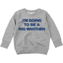 Toddler Crewneck Basic Promo Sweatshirt