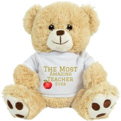 The Most Amazing Teacher Ever