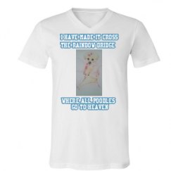 Unisex V-Neck Jersey Tee