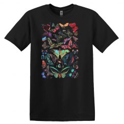 Butterfly Butterflies