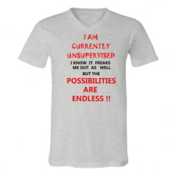 Unisex V-Neck Jersey Tee