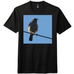 Unisex Perfect Tri Tee