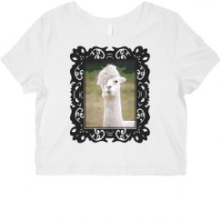 Ladies Slim Fit Crop Top Tee