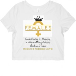 Ladies Slim Fit Crop Top Tee