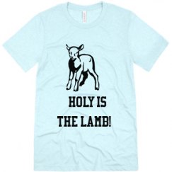 Unisex Triblend Tee