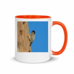 11oz Ceramic Mug with Color Inside