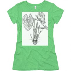 Ladies Slim Fit Super Soft Triblend Tee