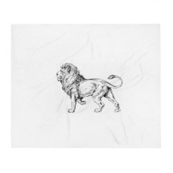 50 Inch Throw Blanket