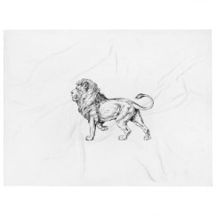 60 Inch Throw Blanket