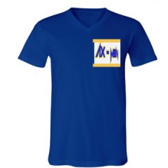 Unisex V-Neck Jersey Tee