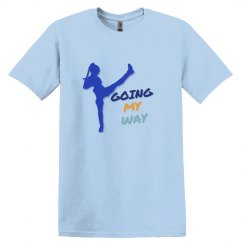 kamen rider jeanne shirt