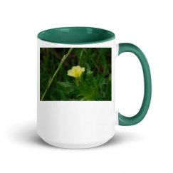 15oz Ceramic Mug with Color Inside