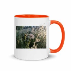 11oz Ceramic Mug with Color Inside