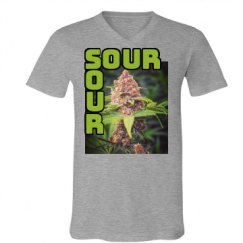 Unisex V-Neck Jersey Tee