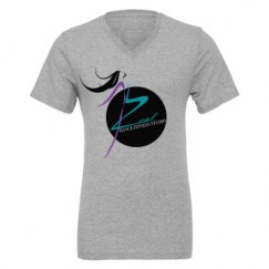 Unisex CVC Jersey V-Neck T-Shirt