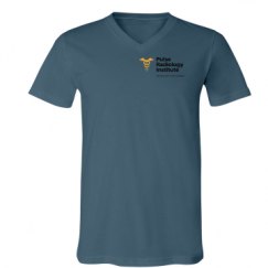 Unisex V-Neck Jersey Tee