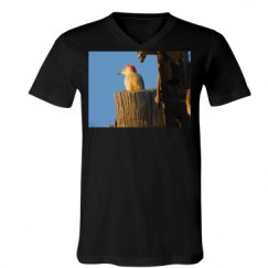 Unisex V-Neck Jersey Tee