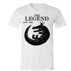 Unisex V-Neck Jersey Tee