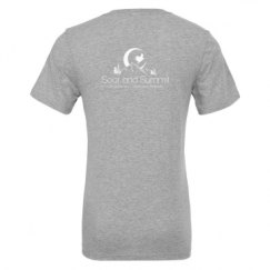 Unisex CVC Jersey V-Neck T-Shirt