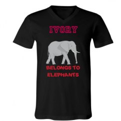 Unisex V-Neck Jersey Tee